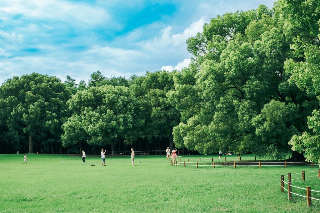 Dinamika Ruang dan Agregasi Massa: Dari Semarak GBK, Hutan Kota Depok, hingga Pelestarian Atlantik Selatan